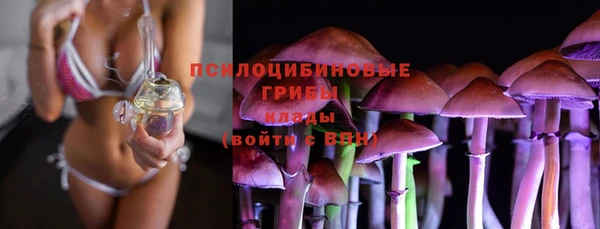 дурь Абаза