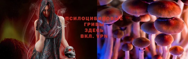 не бодяженный Абинск